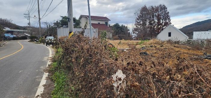 [크기변환]KakaoTalk_20251121_163709701_08.jpg 이미지